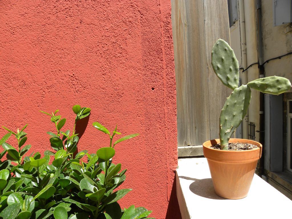 Apartament La Terrasse Du Marche Aux Fleurs Montpellier Pokój zdjęcie
